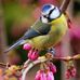 Olga Busch - Facebook
