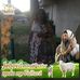 Olga Calvillo - Facebook
