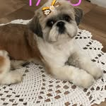 Olga Calvo Carril Carvalho - @olgacalvocarrilcarvalho - Instagram