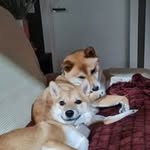 Olga Carpenter - @carpenterolga - Instagram
