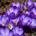 Olga Carpenter - Facebook