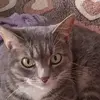 olgacash62 - @olgafyfegiw - TikTok
