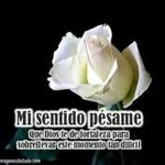 Olga Celis - @olgamariacelis173 - Instagram