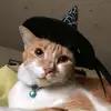 Olga Celis - @olgarodriguez2982 - TikTok