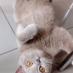 chechinaolga - @chechinaolga4445 - Instagram