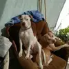 olga chernova - @olga.chernova - TikTok