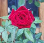 Olga Cid - Facebook