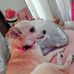 Olga Cintron - Facebook