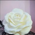 Olga Clemente - Facebook