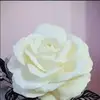 Olga Clemente - @olga.clemente09 - TikTok