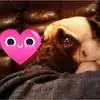 Olga Nicte Colunga - @olga.nicte.colung - TikTok