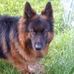 Olga Conley - Facebook