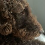 Olga Conrad - @olgaconrad75 - Instagram