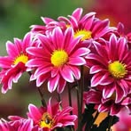 Olga Coreas - Facebook