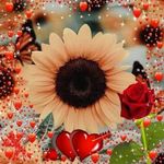 Olga Cross - @olga.cross.395 - Instagram