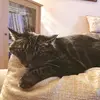 Olga Dale - @olgadale0 - TikTok