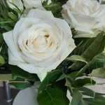 oldiva 6&2 - @olgadick34 - Instagram