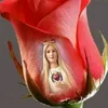 Olga Dizon345 - @olgadizon345 - TikTok