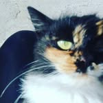 Ольга - @olgadron12 - Instagram