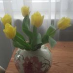 olgaebert - @olgaebert1949 - Instagram