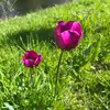 olga.nebert7 - @olga.nebert7 - TikTok