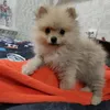 OlgaaTeddy - @olgaateddy - TikTok