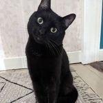 Olga Edwards - @theolgs - Instagram