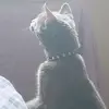 Тишина - @olgafair0 - TikTok