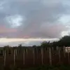 Olga Faller - @olga.faller - TikTok