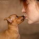 Kennel Fortune Olga - @kennel_fortuneolga - Instagram