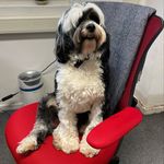 Olga Fowler - @lovinbiz - Instagram