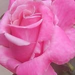 Olga Swift-fuller - @olga.obrien.71 - Instagram
