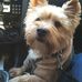 Olga Geiger - Facebook