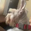 GilbertoMzt - @gilbertolga21 - TikTok