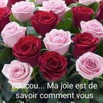 @olgagilbert593 - Instagram