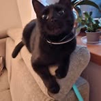 Olga Ginter - Facebook