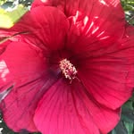 Olga Glover - @olgaglover474 - Instagram