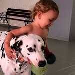 🐾Olga, Greg e Malê - @olga.greg.male - Instagram