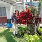 Olga Cscais Guyiertez - Facebook