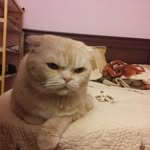 olgaguyda80 - @olgaguyda80 - Instagram