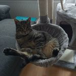Olga Hahn - @hahn.olga68 - Instagram