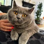 olga hahn - @olgahahn370 - Instagram