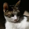 Olga Harrison663 - @olgaharrison663 - TikTok