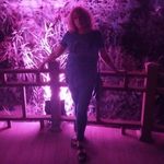 Ольга Рольгейзер - @olgarollhauser - Instagram