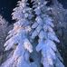 Olga Hirsch - Facebook