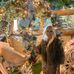 Olga Lloyd - Facebook