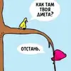 olgamack - @olgamack - TikTok