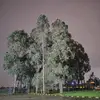 luna - @olga.malaver1 - TikTok