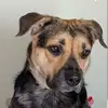 Olga Marte - @olgamarte0 - TikTok