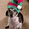 Olga Miller - @user8127628467341 - TikTok